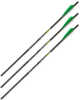 Allen XBOW Arrow 20" CX600 3" VANES Moon NOCK 3Pk