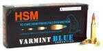 223 Remington 20 Rounds Ammunition HSM 55 Grain Ballistic Tip