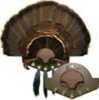 Mountain Mikes Reproductions Beard Collector Turkey Plaque Kit