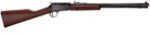 Henry Repeating Arms Pump Rifle 22 Magnum 20.5" Octagon Barrel 12 Round American Walnut Stock Blued Finish