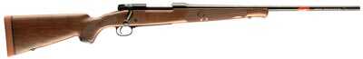 Winchester M 70 Featherweight 270 24" Polished Blue Barrel High Grade Walnut Stock Bolt Action Rifle 535137226
